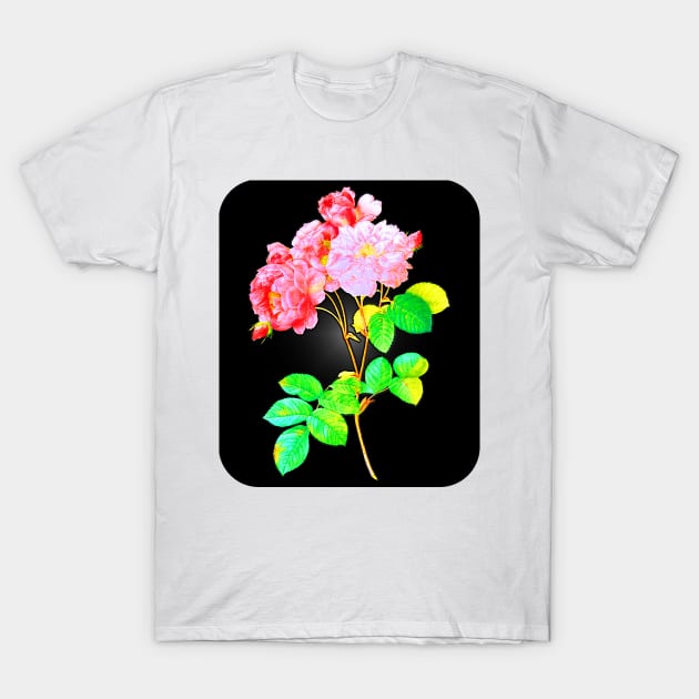 Black Panther Art - Rose Art 16 T-Shirt by The Black Panther